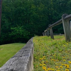 Meet your Posher, Mae